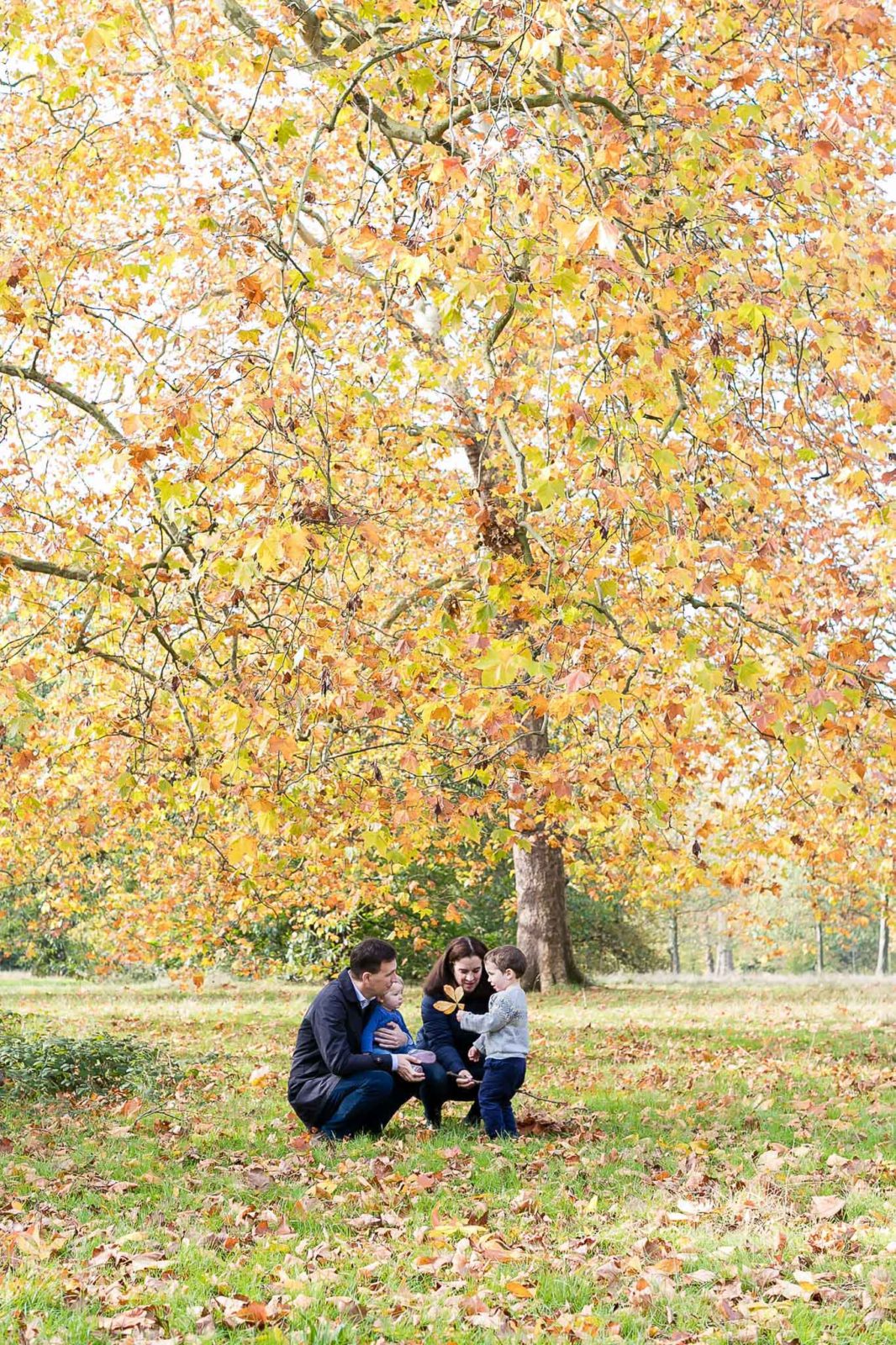 Mùa thu lá ở Hyde Park trong một buổi chụp chân dung gia đình