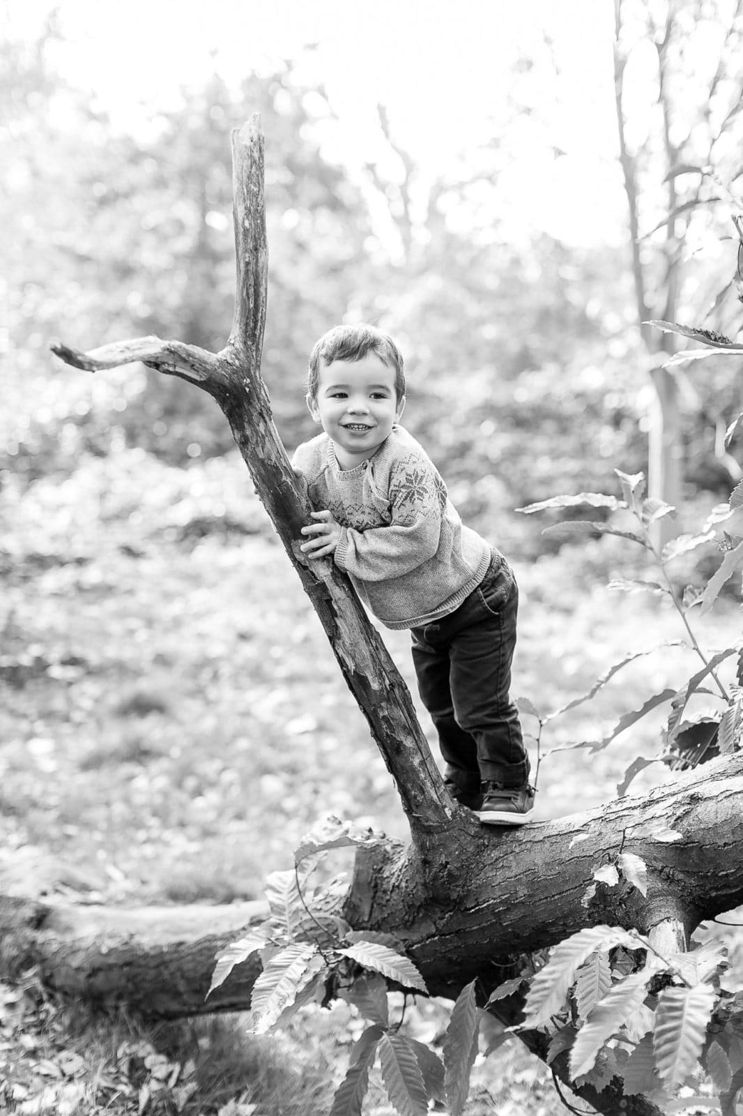 Cậu bé trèo lên thân cây đổ