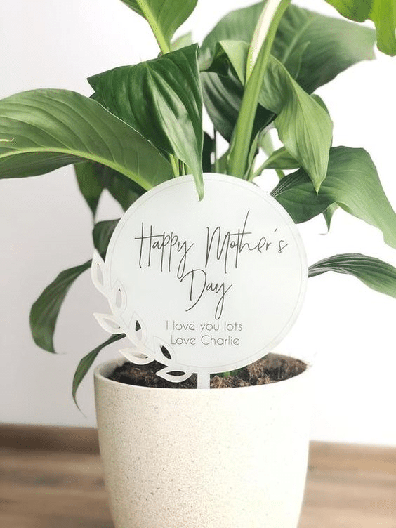  Mother-day-plant-pot-with-a-note
